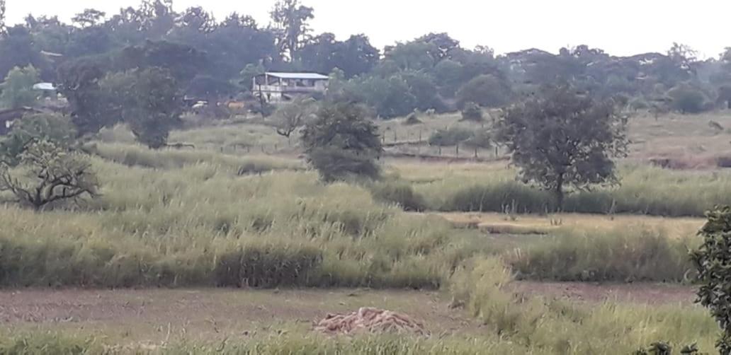 Karjat Mountain Villa Esterno foto